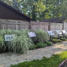 StoryWalk boards and garden on stone walking path