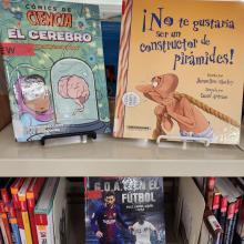 Spanish books on bookshelf. 