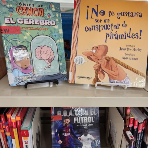 Spanish books on bookshelf.